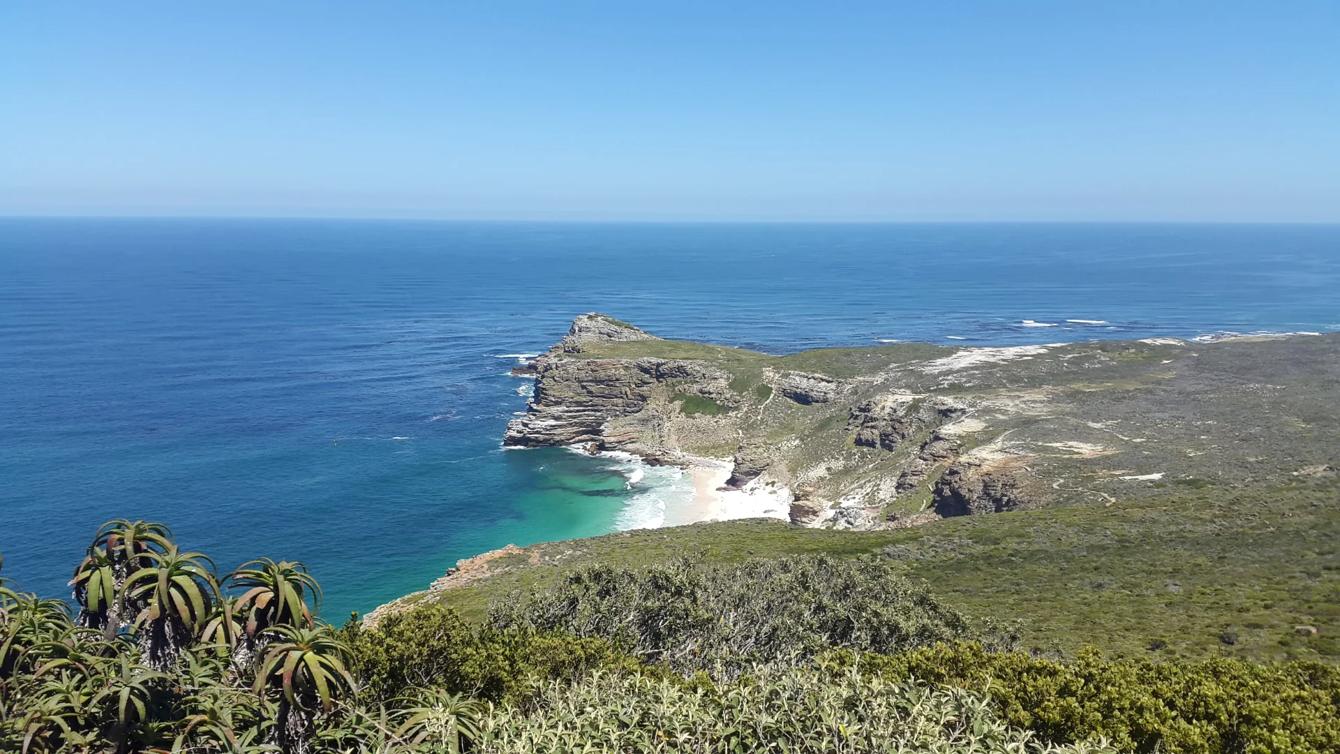 Cape Point coastline with rocky cliffs, turquoise water and indigenous fynbos