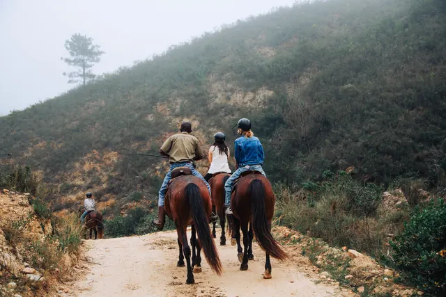Guided horse ride on a hillside trail at Botlierskop