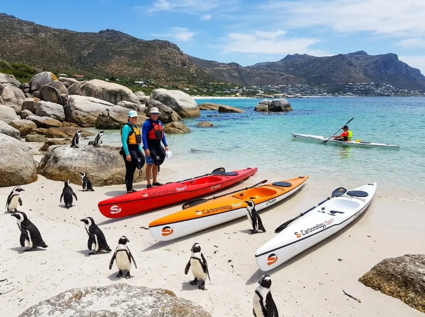 Kayaks on the sand beside African penguins with the False Bay coastline beyond