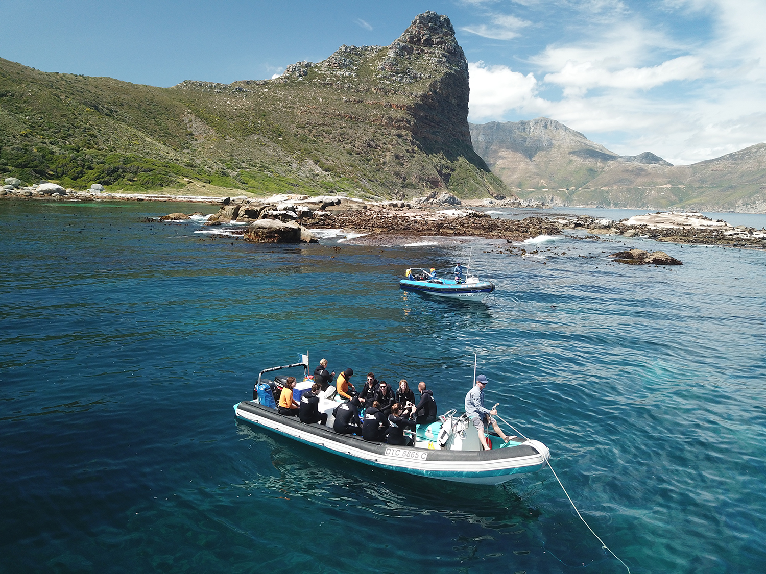 Snorkeling charter boats anchored near Duiker Island beneath the Sentinel, Hout Bay