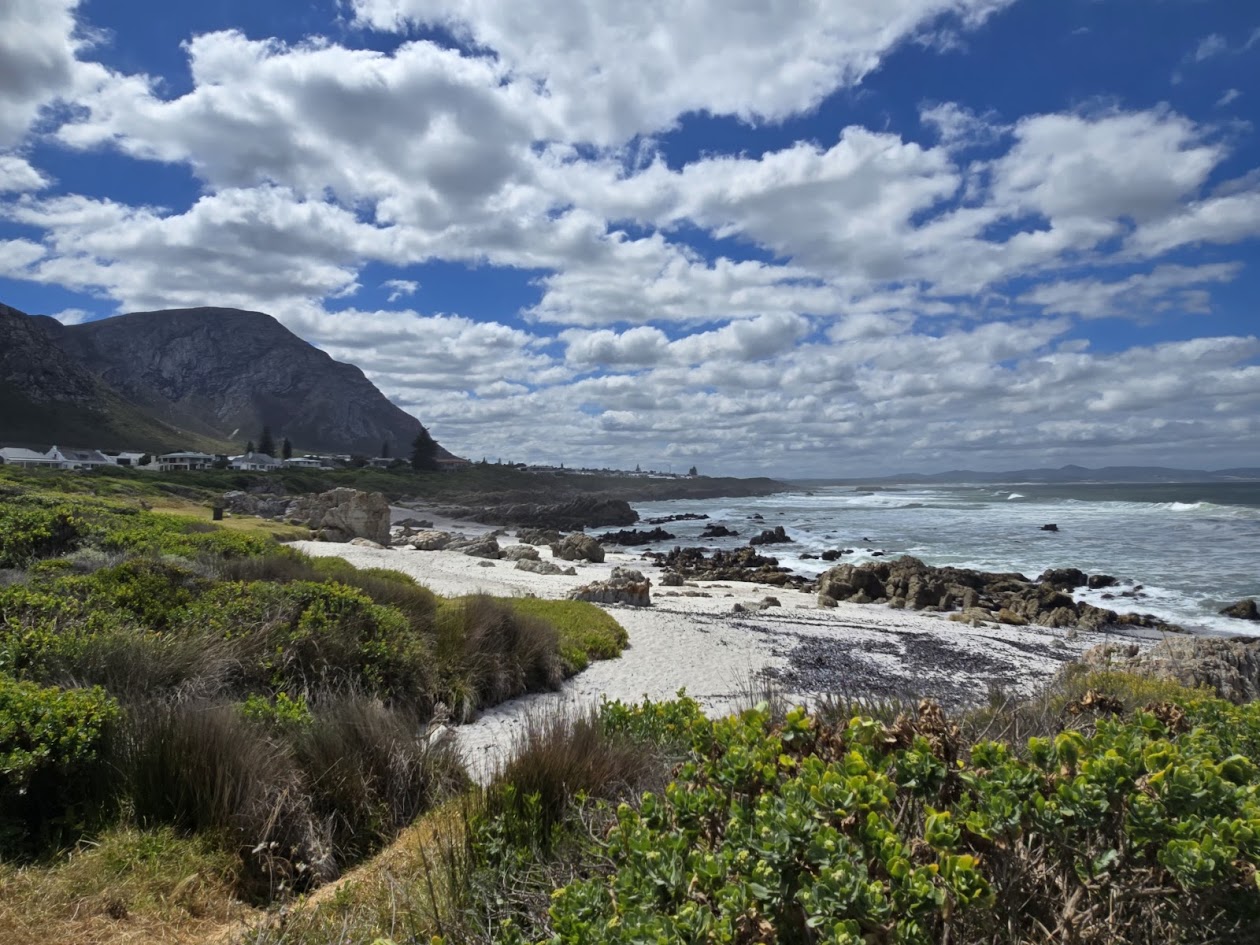 Hermanus beach walk with mountain backdrop