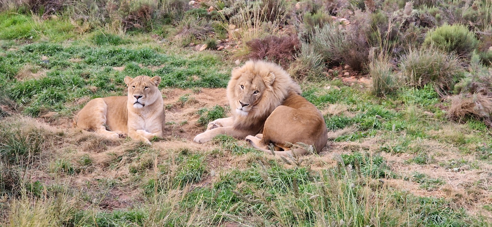 The Big 5, up close — and on terms that respect the wild.