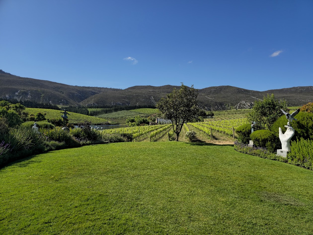 Hemel-en-Aarde Valley vineyards — Hermanus Wine Tour