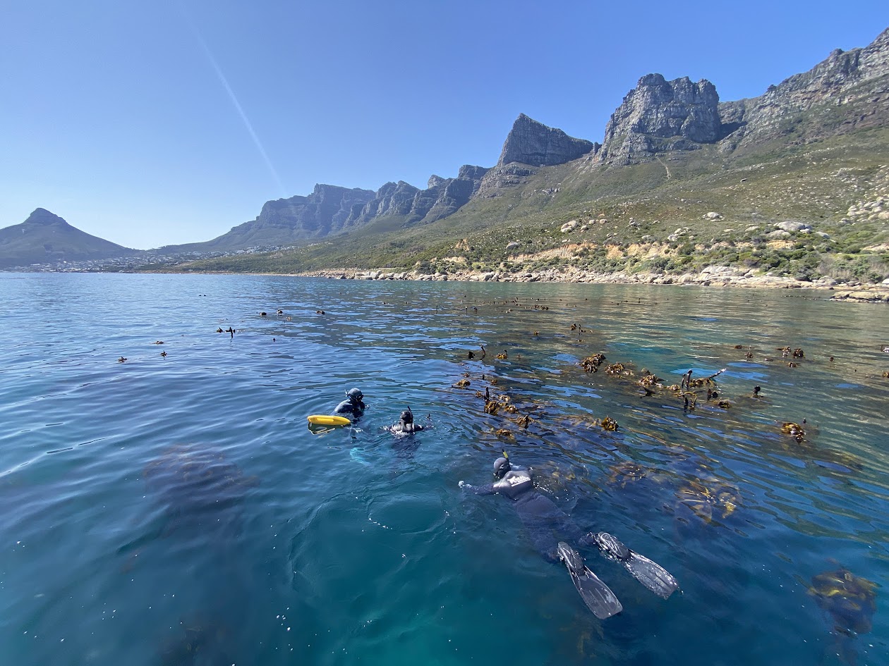 Diving