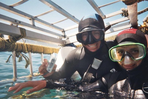 Grand requin blanc près d'un bateau de plongée en cage au large de Gansbaai