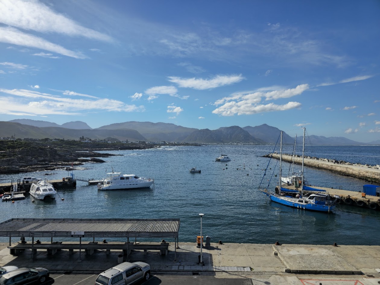 Hermanus harbour — boat-based whale watching departure point