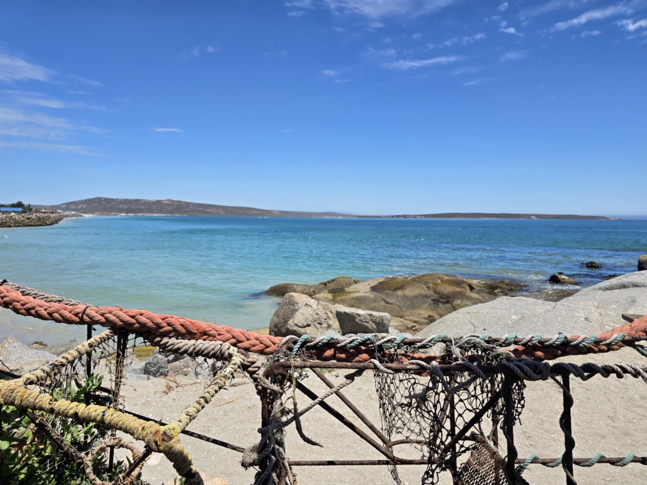 West Coast Wildflowers & Paternoster