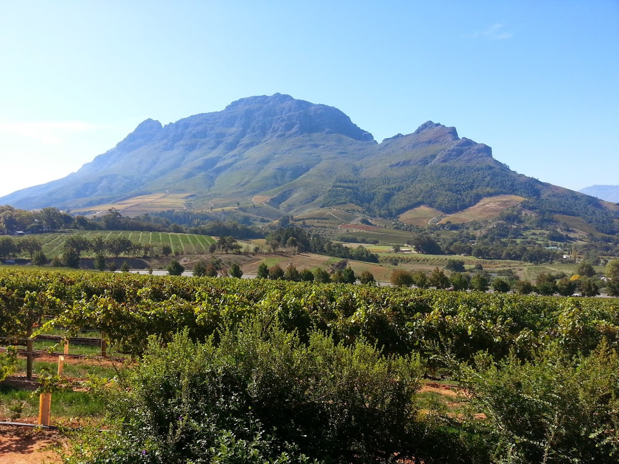 Wine tasting at a Hemel-en-Aarde Valley wine farm near Hermanus